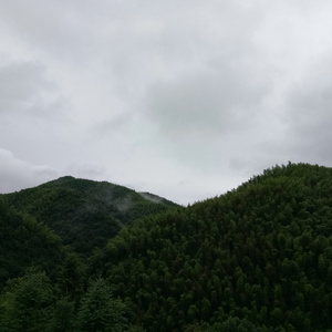 FreeXXX96性欧美古老片
